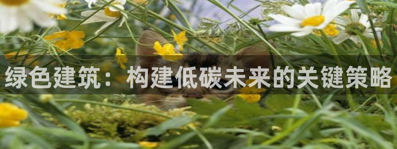 e尊国际客户端：绿色建筑：构建低碳未来的关键策略