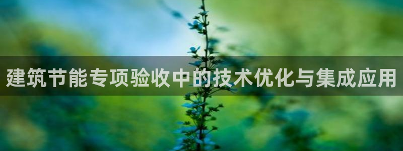 e尊国际的手机登录网站：建筑节能专项验收中的技术优化与集成应用