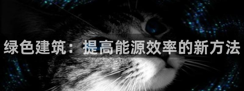 e尊国际是干什么的