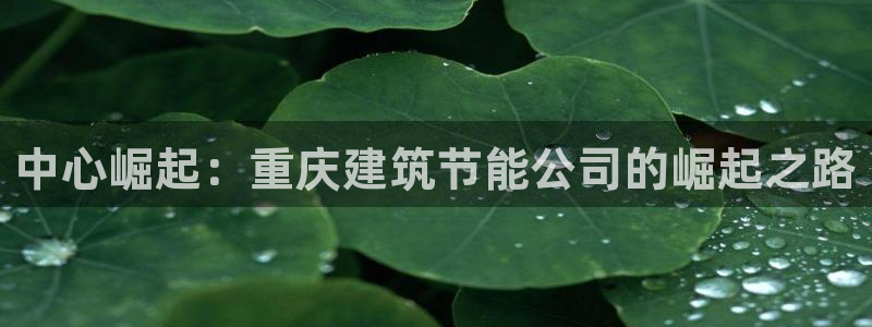 e尊体育