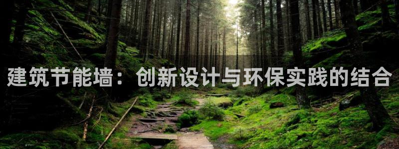 E尊国际网站：建筑节能墙：创新设计与环保实践的结合