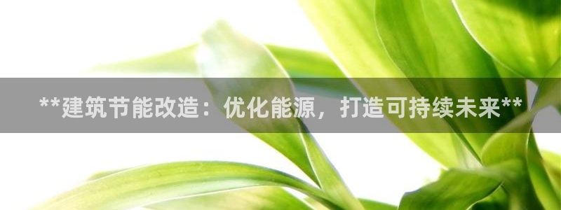 e尊官网：**建筑节能改造：优化能源，打造可持续未来**