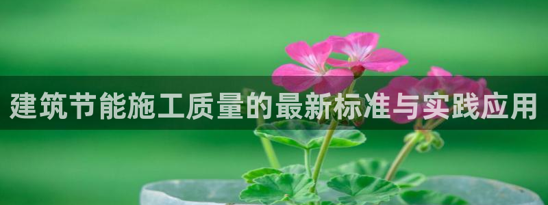 谁知道e尊国际的网址：建筑节能施工质量的最新标准与实践应用