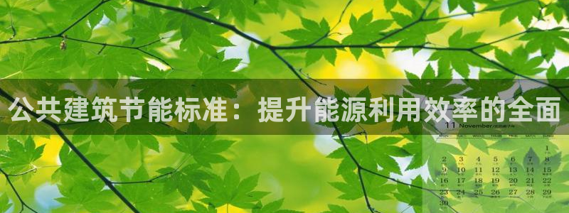 谁知道e尊国际的网址：公共建筑节能标准：提升能源利用效率的全面
