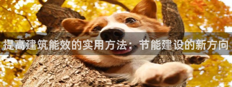 e尊电竞：提高建筑能效的实用方法：节能建设的新方向