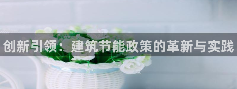 e尊国际app：创新引领：建筑节能政策的革新与实践